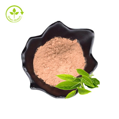100% naturalny organiczny świeży i roślinny ekstrakt z ekstraktu z roślin liściastych do odchudzania Ekstrakt z zielonej herbaty w proszku