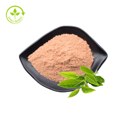 Private Label Organiczne naturalne ekstrakty z zielonej herbaty Matcha w proszku
