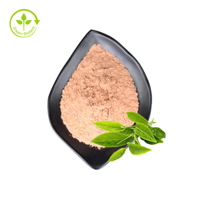 Private Label Organiczne naturalne ekstrakty z zielonej herbaty Matcha w proszku