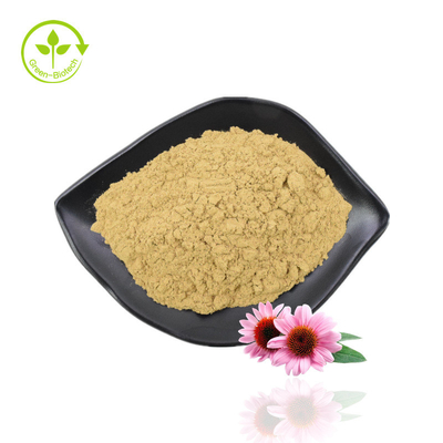 Ekstrakt z ziela jeżówki Echinacea Purpurea Ekstrakt z polifenoli Echinacea