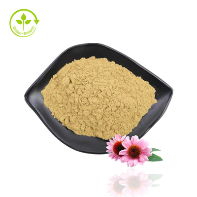 Ekstrakt z ziela jeżówki Echinacea Purpurea Ekstrakt z polifenoli Echinacea