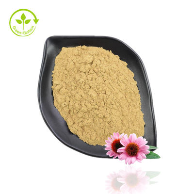 Proszek ekstraktu z Echinacea Purpurea o wysokiej czystości 10% -40% Echinacoside