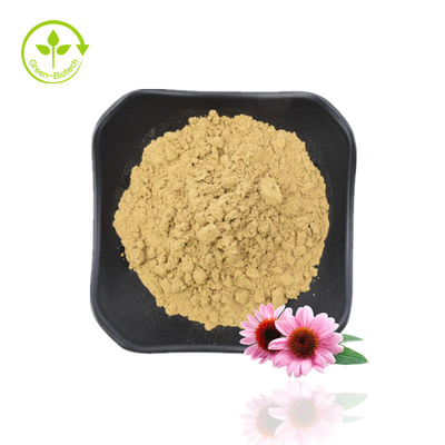 Naturalne Polifenole 4% Kwas Cichoric 1% 4% Ekstrakt z Echinacea Purpurea
