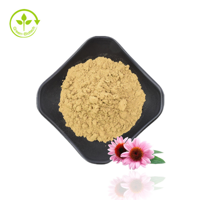 Naturalne Polifenole 4% Kwas Cichoric 1% 4% Ekstrakt z Echinacea Purpurea