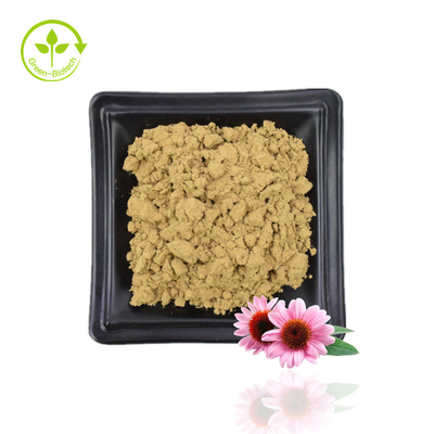 Dostarcz ekstrakt z Echinacea Purpurea Ekstrakt z jeżówki Naturalny ekstrakt z kwiatu Echinacea Purpurea 4% polifenoli