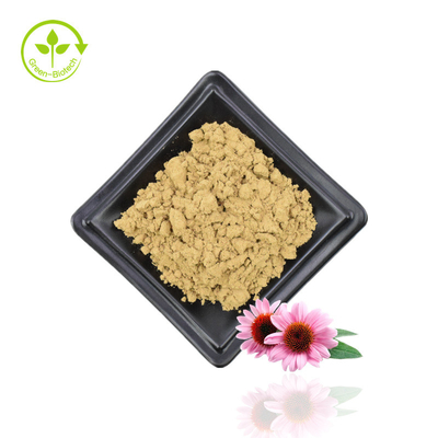 Dostarcz ekstrakt z Echinacea Purpurea Ekstrakt z jeżówki Naturalny ekstrakt z kwiatu Echinacea Purpurea 4% polifenoli
