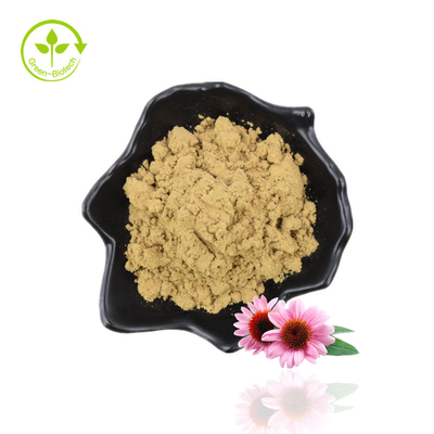 Dostawa do produkcji Echinacea Purpurea Ekstrakt z kwasu cykorowego Echinacea