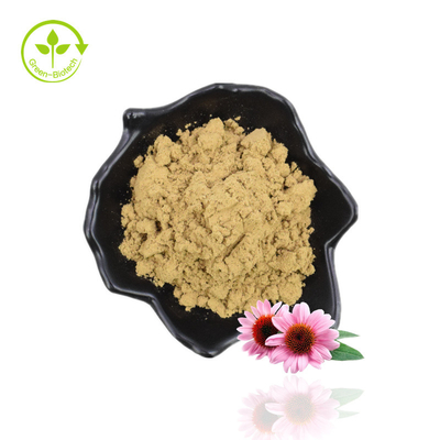 Dostawa do produkcji Echinacea Purpurea Ekstrakt z kwasu cykorowego Echinacea