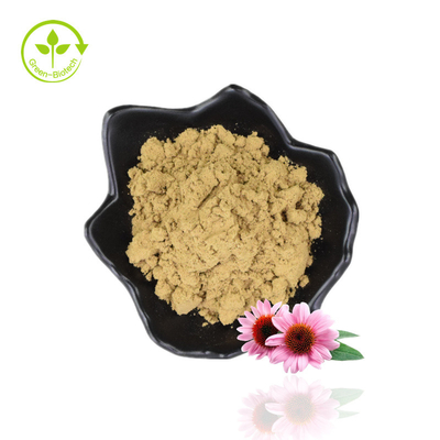 Masa 4% Polifenol Echinacea Purpurea Wyciąg w proszku Wyciąg z jeżówki purpurowej
