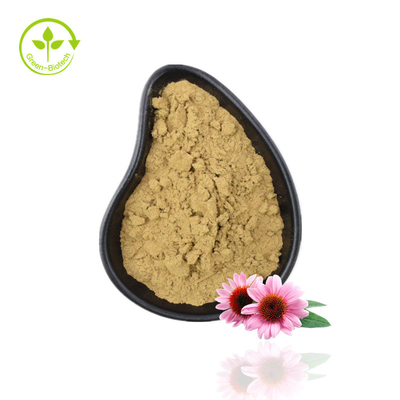 Dostawa fabryczna Echinacea Powder Echinacea Purpurea Extract Echinacea Extract o wysokiej jakości