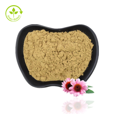 Dostawa fabryczna Echinacea Powder Echinacea Purpurea Extract Echinacea Extract o wysokiej jakości