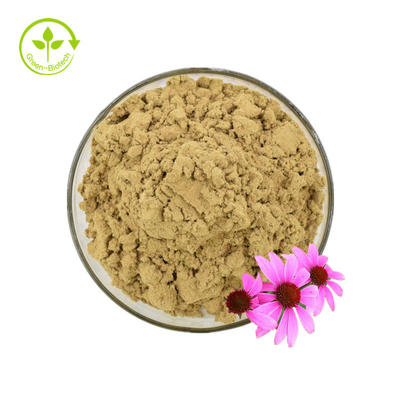 Certyfikat ISO 100% Naturalny Ekstrakt z Jeżówki Echinacea Purpurea Ekstrakt 10% Polifenol