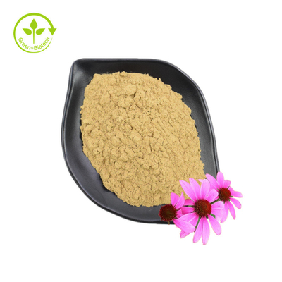 Dostarcz dobrej jakości ekstrakt z Echinacea Purpurea Dodatek do opieki zdrowotnej Ekstrakt z Echinacea Purpurea