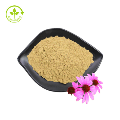 Dostawa hurtowa 3% Ekstrakt z kwiatu Echinacea Purpurea Kwas Chikorowy Ekstrakt z Echinacea Purpurea