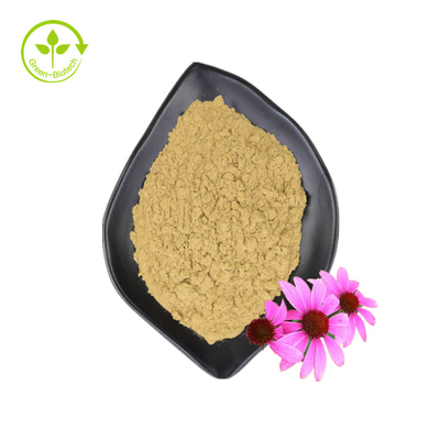 Dostawa hurtowa 3% Ekstrakt z kwiatu Echinacea Purpurea Kwas Chikorowy Ekstrakt z Echinacea Purpurea