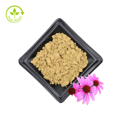 Ekstrakt z Echinacea Purpurea 4% polifenol 2% kwas cykorowy