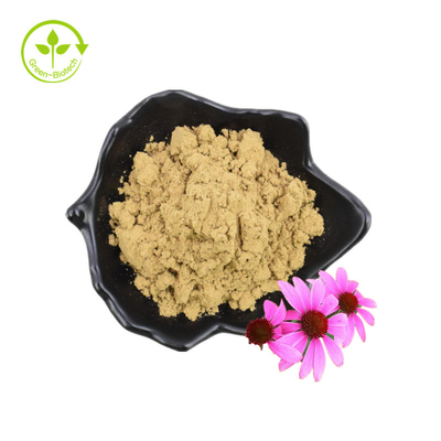Organiczny polifenol suszony w proszku Ekstrakt z nasion Echinacea Purpurea
