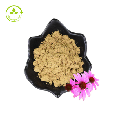 Organiczny polifenol suszony w proszku Ekstrakt z nasion Echinacea Purpurea