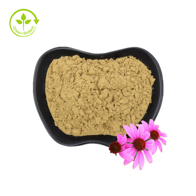 Ekstrakt Echinacea Purpurea Czyste proszek Ekstrakt Echinacea organiczna Polifenole 4%