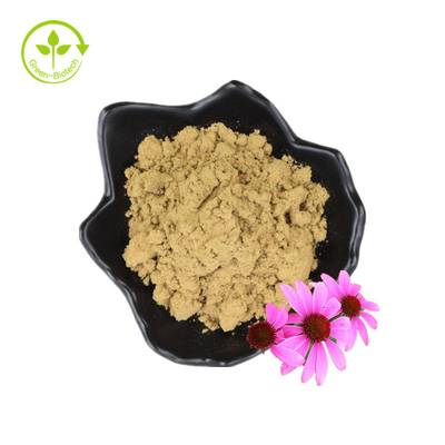 Masowe polifenole 4% Kwas Cichoric Echinacea Proszek Echinacea Purpurea Ekstrakt