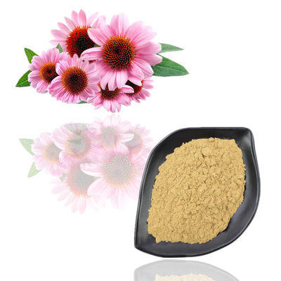 Wyciąg z roślin klasy spożywczej w proszku Ekstrakt z kwiatu Echinacea Purpurea