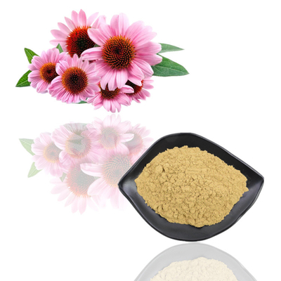 Wyciąg z roślin klasy spożywczej w proszku Ekstrakt z kwiatu Echinacea Purpurea