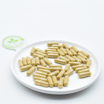 Panax Ginksen Gór Changbai Korzenie Ginksen Farmaceutyczny Świeży Ginksen