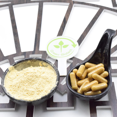 Bulk Stock Wholesale Panax Ginseng 80% Ginsenosidy