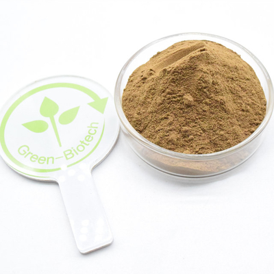Najlepsza cena Brązowy drobny proszek Suszony Dendrobium Nobile Lindl Extract