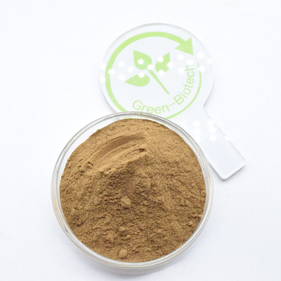Brązowy drobny proszek 10:1 5:1 20:1 Dendrobium Officinale Extract