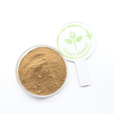 Producent Bezpośrednia dostawa Żółty Brązowy Dendrobium Extract Powder