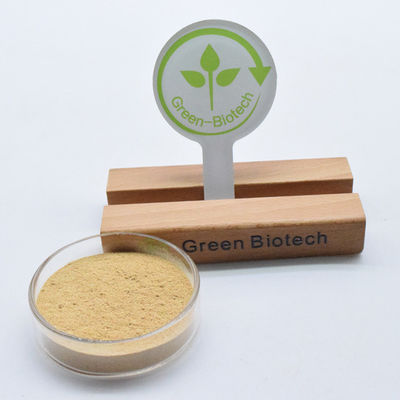 Ekstrakt z korzenia cyjanoty z Arachnoidea Ekdysteron 98% Beta Ekdysteron w proszku