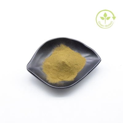 Niska cena Ekstrakt z korzenia ashwagandzy organicznej, drobny proszek do kremów z ashwagandzy