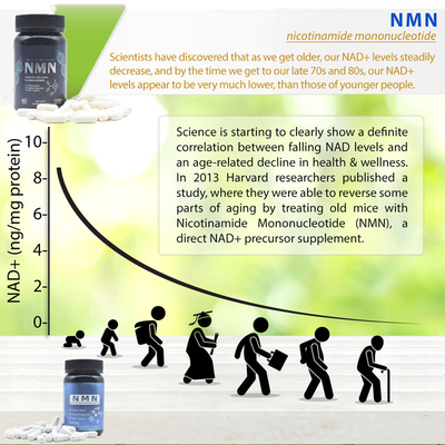 Longevity 600mg Pure Nmn Suplement Kapsułka Zwiększenie Energii
