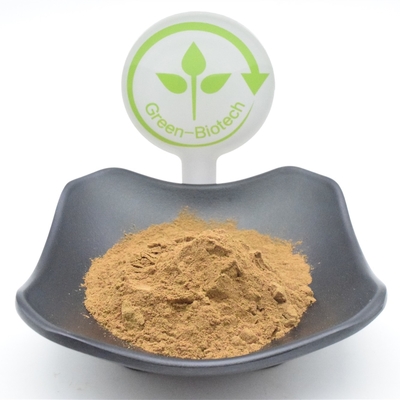 Funkcjonalny proszek Ajuga Turkestanica 750 mg 1000 mg ekstraktu roślinnego w proszku